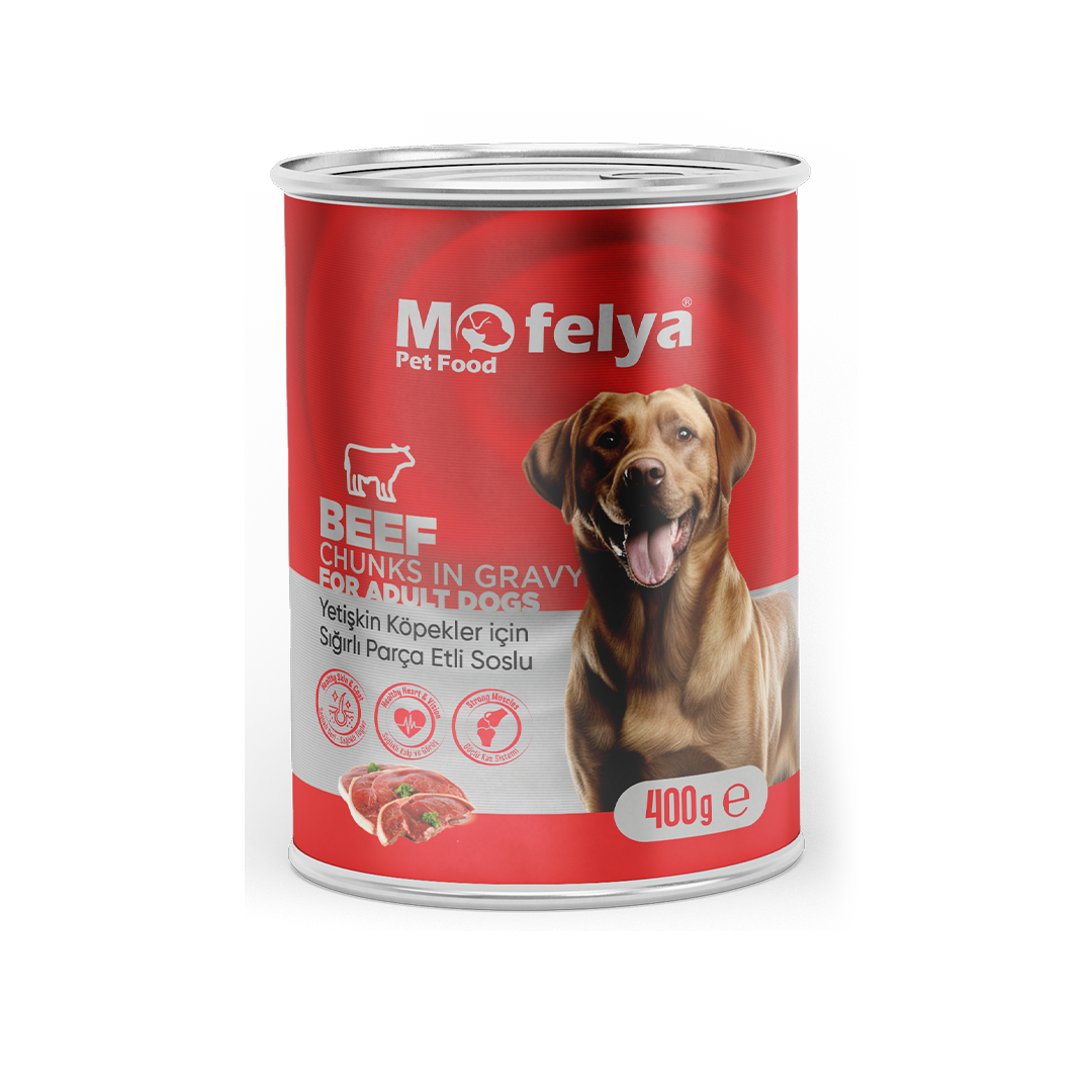 Mofelya adult dog wet food - Beef