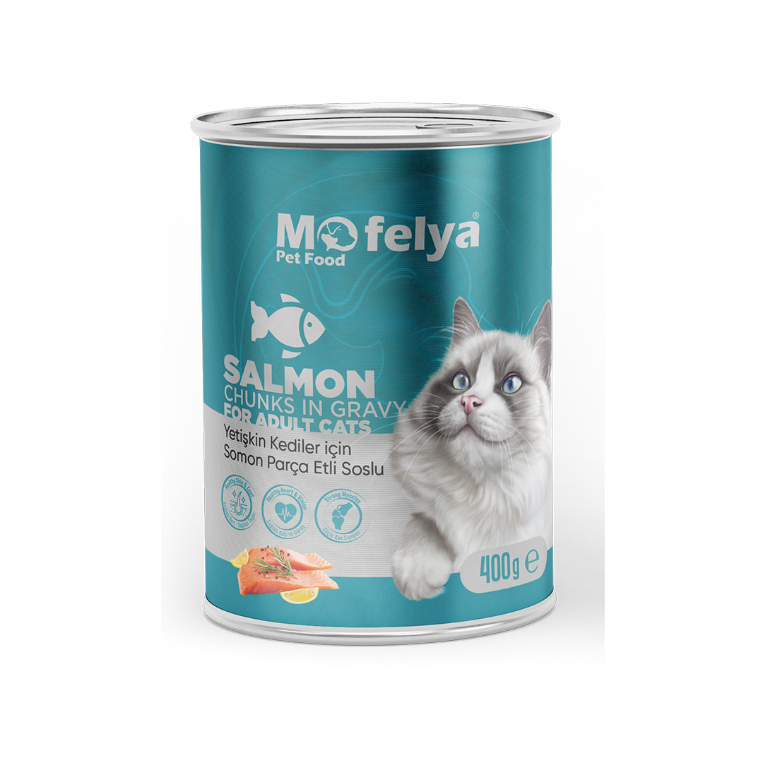 Mofelya adult cat wet food - Salmon